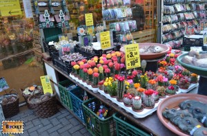 Bloemenmarkt, piaţa de flori din Amsterdam