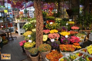 Bloemenmarkt, piaţa de flori din Amsterdam