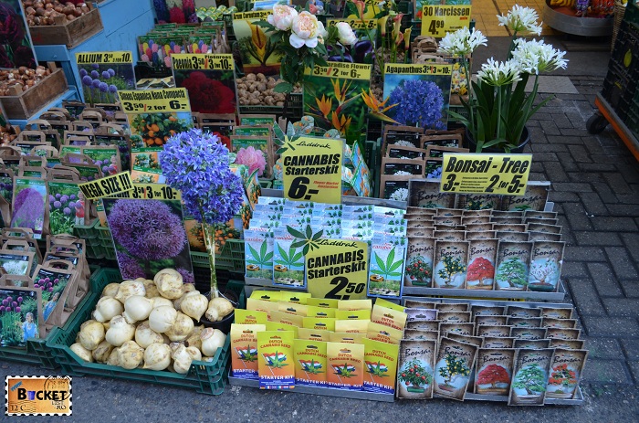 Seminte de Canabis @ Bloemenmarkt, piaţa de flori din Amsterdam