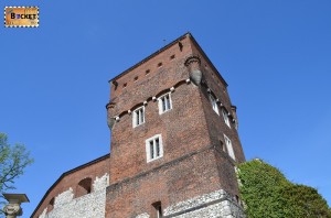 Castelul Wawel Cracovia - turnul hotilor