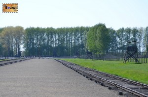 Birkenau