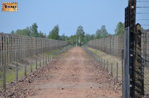 Drum spre crematoriu - Lagărul de concentrare Auschwitz II - Birkenau