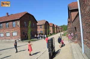 Lagărul Auschwitz I the block