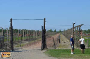 Lagărul de concentrare Auschwitz II - Birkenau -drum spre crematoriu