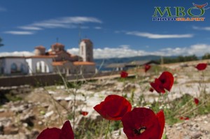 maci in Ohrid Macedonia