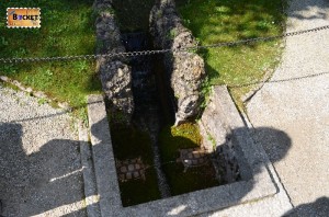 figurine de testoase