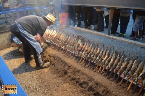 Fischer Vromi - Oktoberfest Munchen 2013 (3)