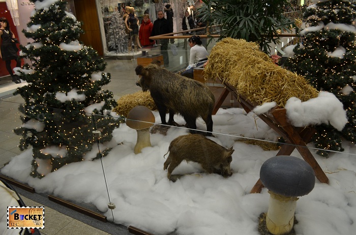 Animale sălbatice naturalizate la Mini târgul de Crăciun din Forum Debrecen
