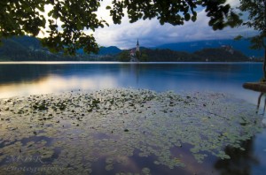 Biserica Sf Maria de pe insula din Lacul Bled Slovenia