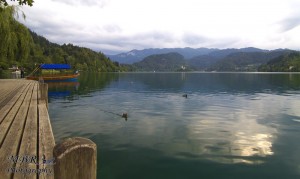 Lacul Bled - Slovenia