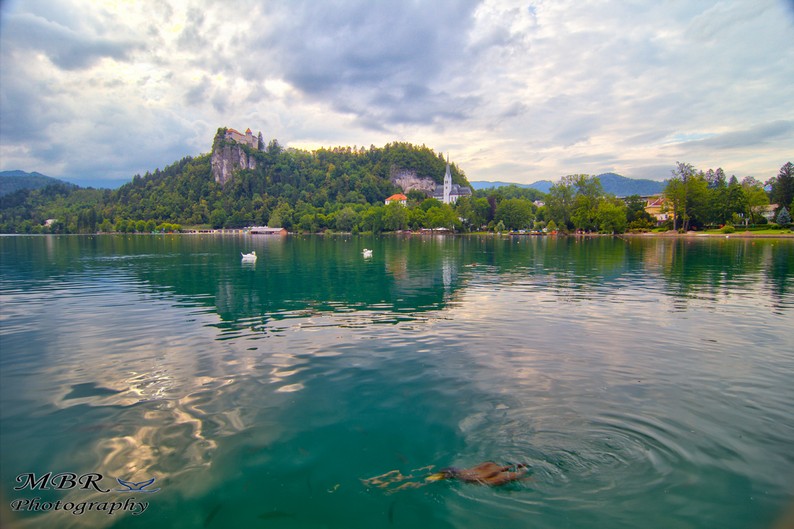 Lacul Bled din Slovenia
