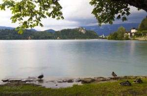 Lacul Bled din Slovenia