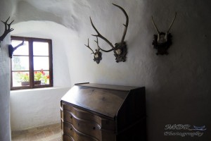 Castelul Predjama din Slovenia