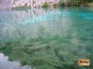 Lacurile de jos din Parcul National Plitvice - lacul Gavabovac