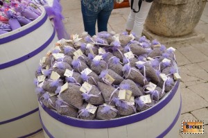 Lavanda in Rab